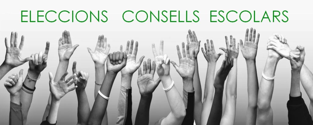 Eleccions Consell Escolar